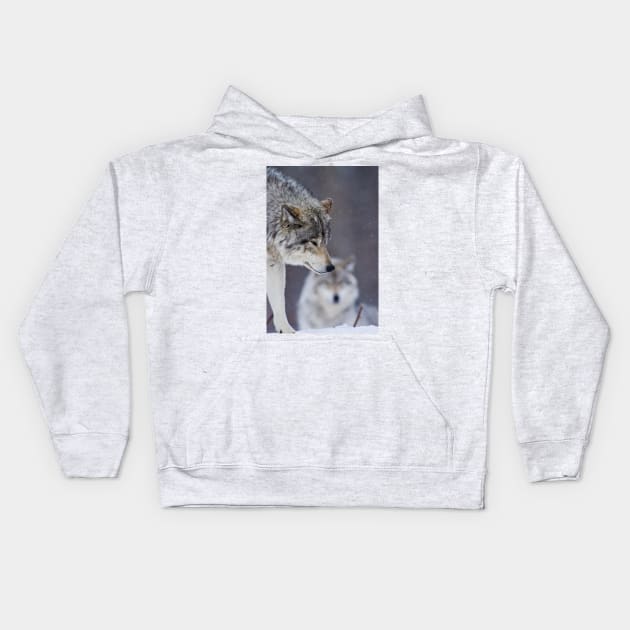 Timber Wolf Kids Hoodie by jaydee1400